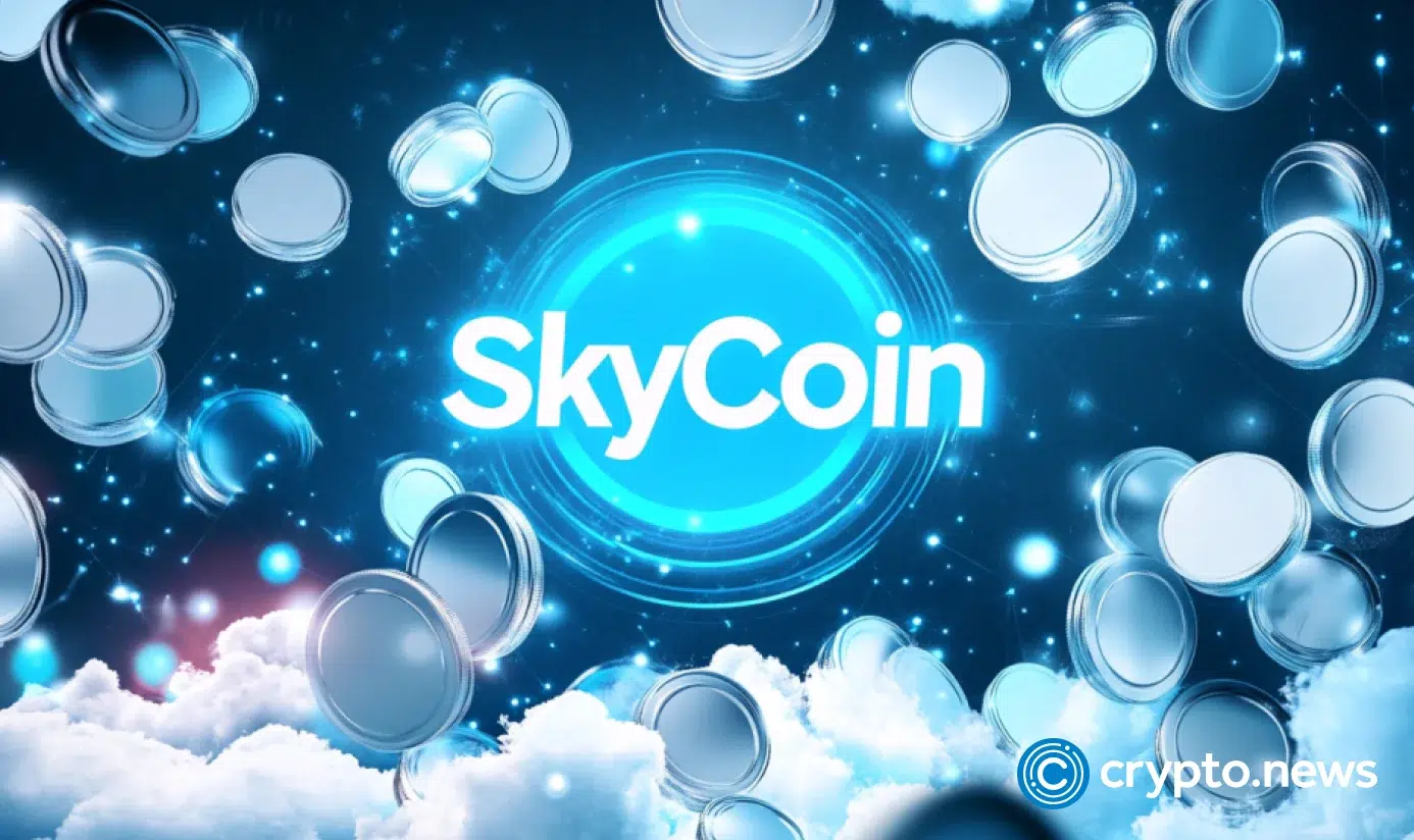 天空是极限？在2025年解码天空价格预测和投资潜力